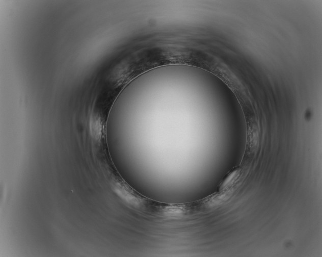 X0000097460574200802291239