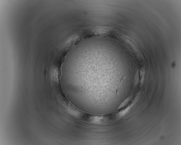 X0000097460575200802291239