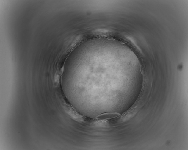 X0000097460576200802291239