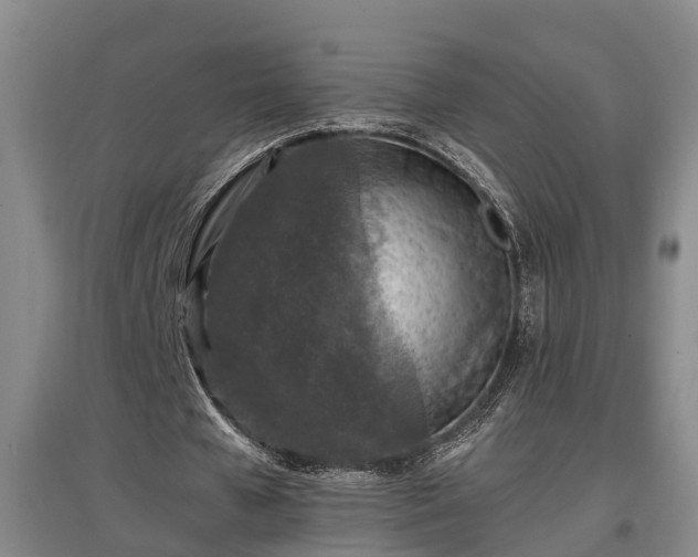 X0000097460577200802291238