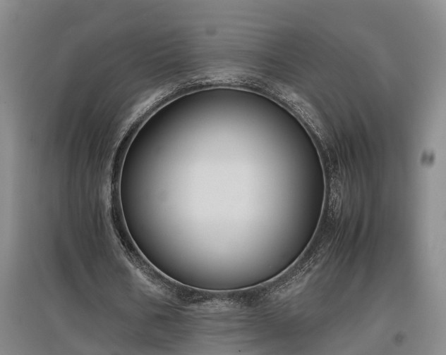 X0000097460578200802291238