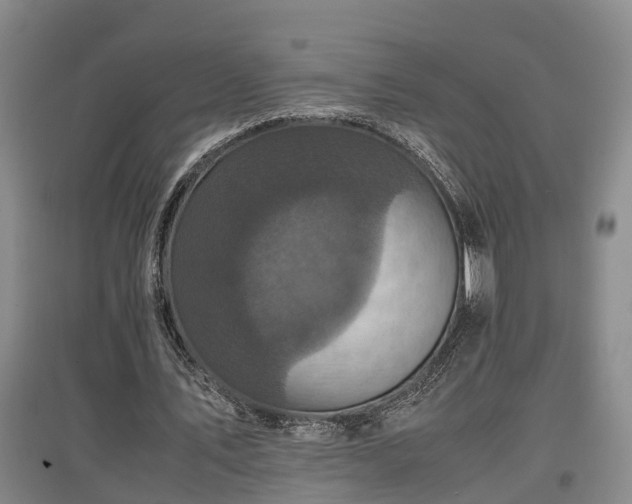 X0000097460579200802291238