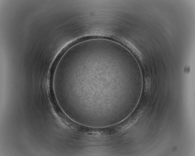 X0000097460580200802291238