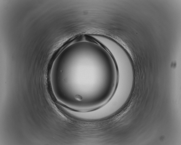 X0000097460581200802291238