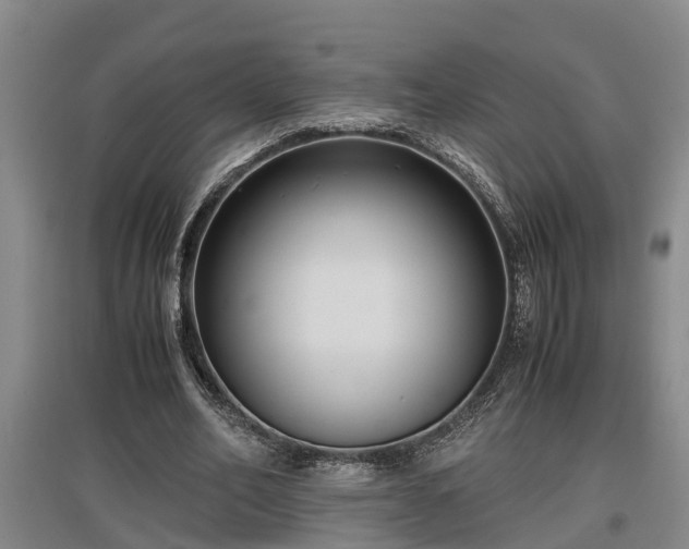 X0000097460582200802291238