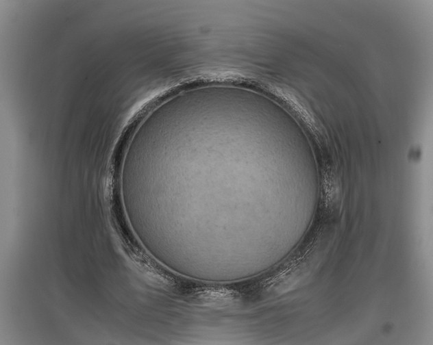 X0000097460583200802291238