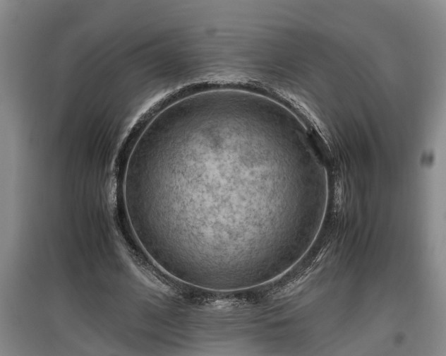 X0000097460584200802291238