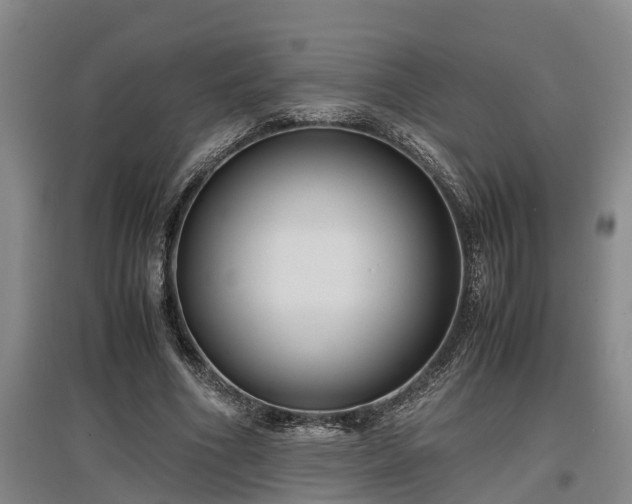 X0000097460586200802291238