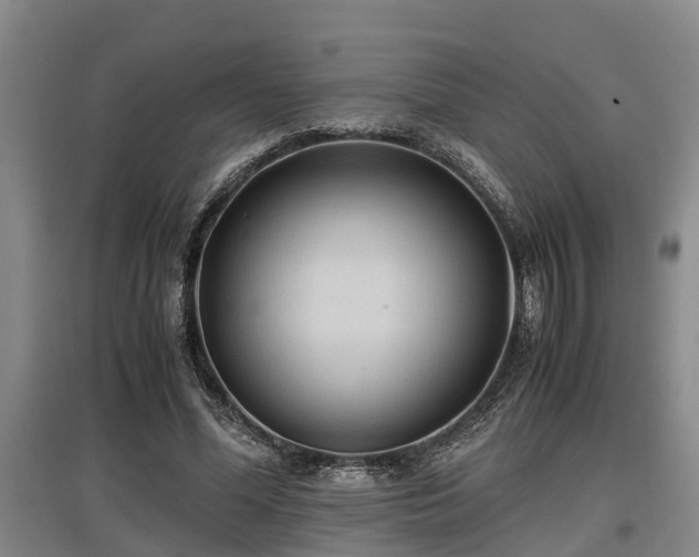 X0000097460588200802291238