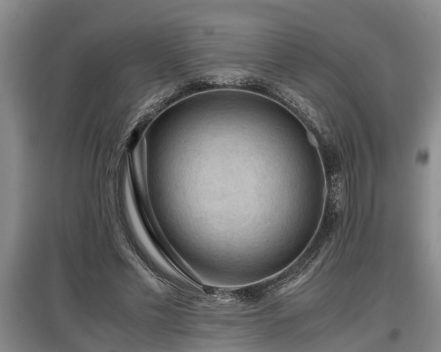 X0000097460589200802291238