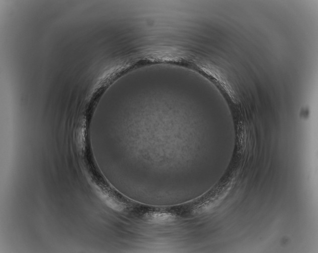 X0000097460590200802291238