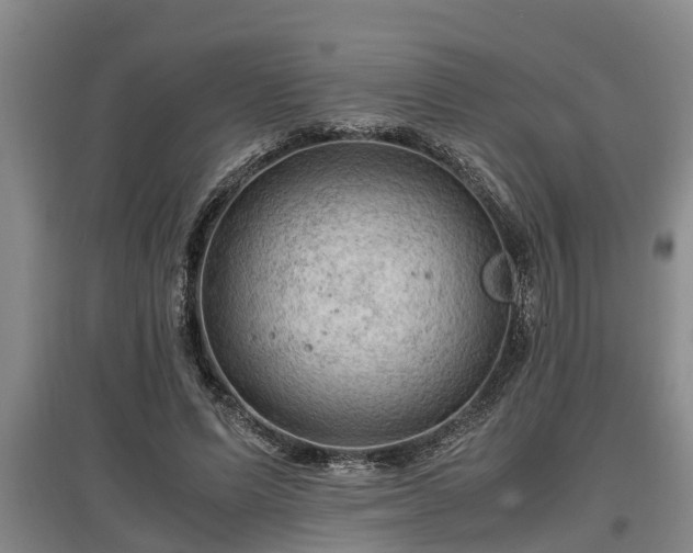 X0000097460591200802291238