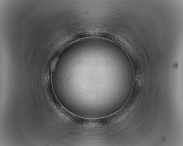 X0000097460593200802291238