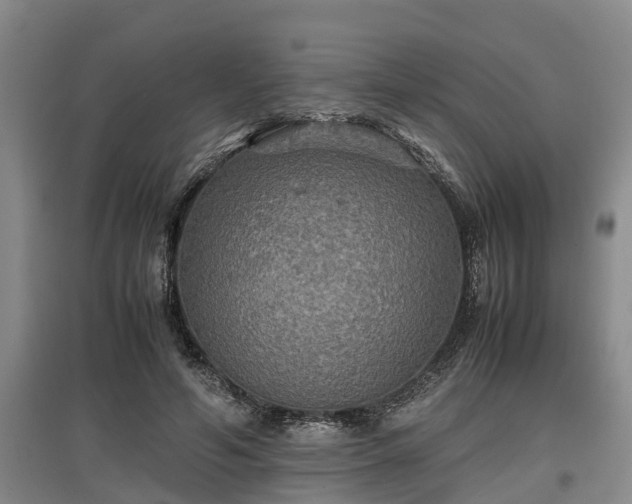 X0000097460594200802291238