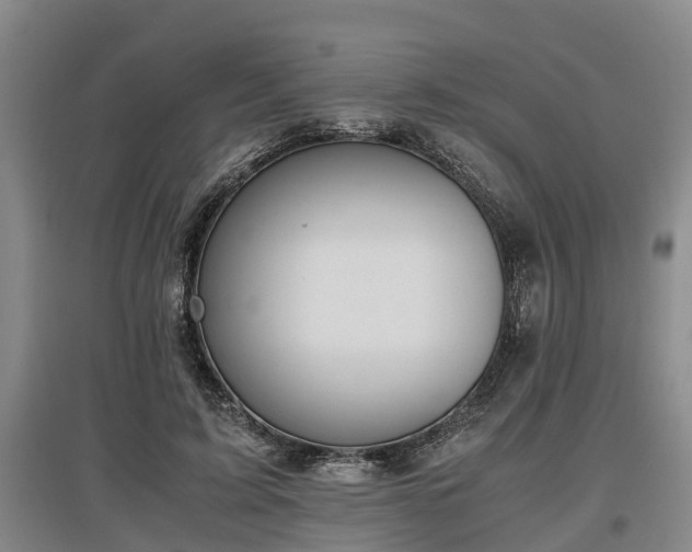 X0000097460595200802291238