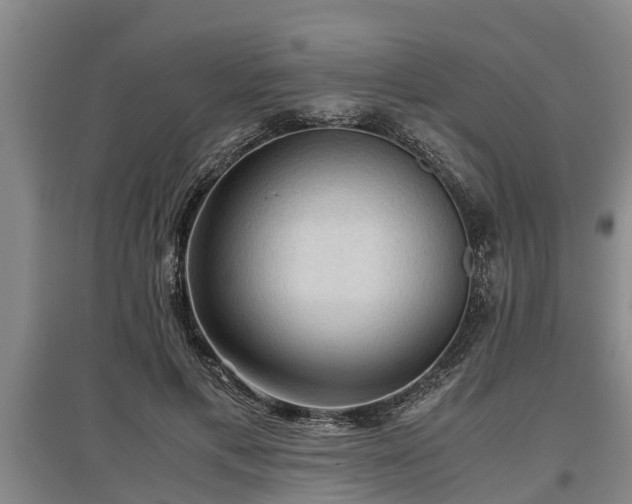 X0000097460597200802291238