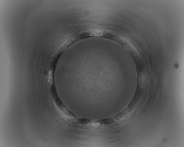 X0000097460598200802291238