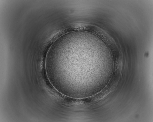 X0000097460600200802291238