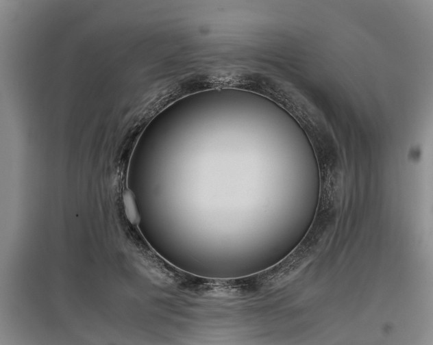 X0000097460601200802291238