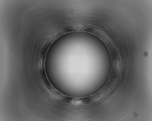 X0000097460602200802291238