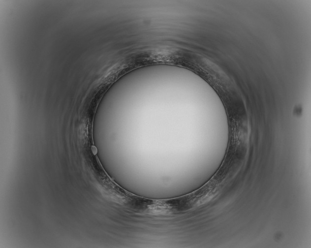 X0000097460603200802291238