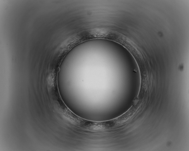 X0000097460604200802291238