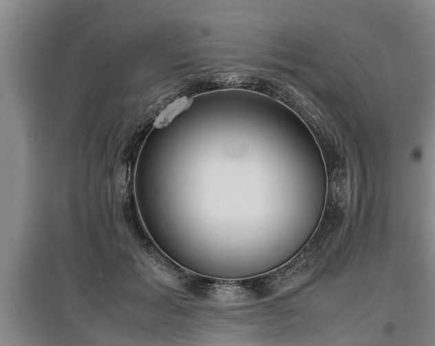 X0000097460605200802291238