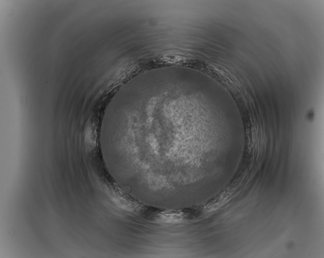 X0000097460606200802291238