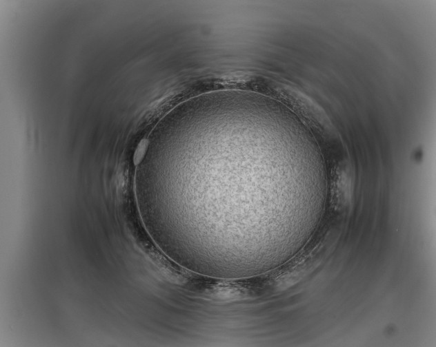 X0000097460608200802291238