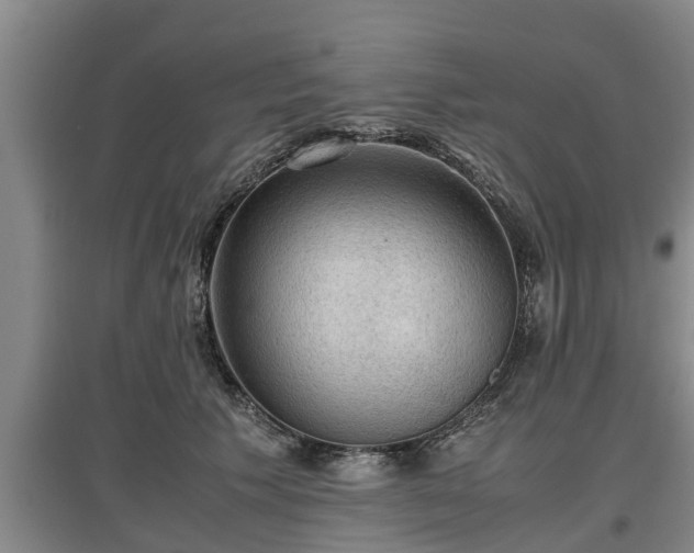 X0000097460609200802291238