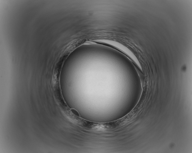 X0000097460611200802291238