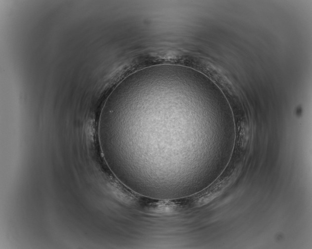 X0000097460612200802291238