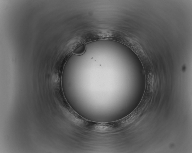 X0000097460614200802291238