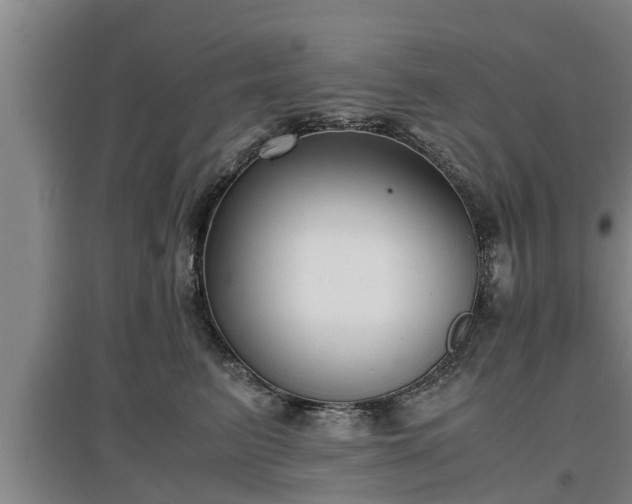 X0000097460615200802291238