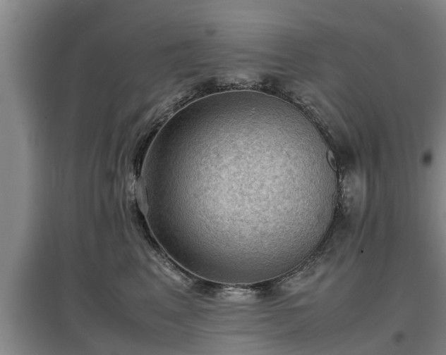 X0000097460617200802291238