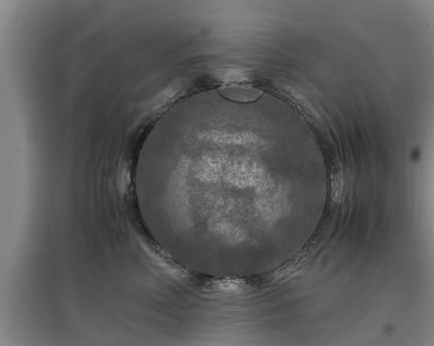 X0000097460618200802291238