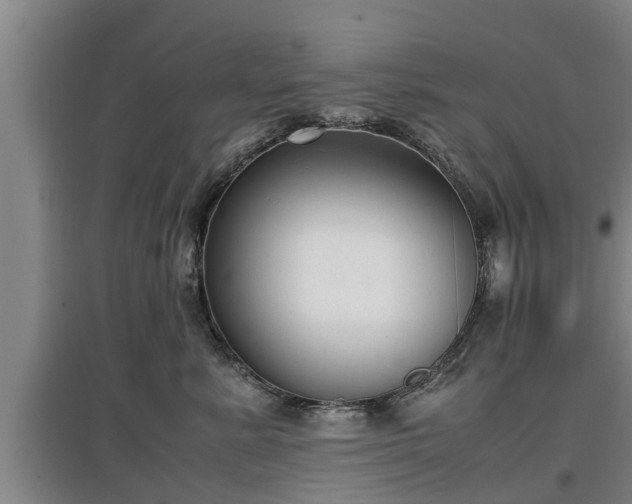 X0000097460619200802291238