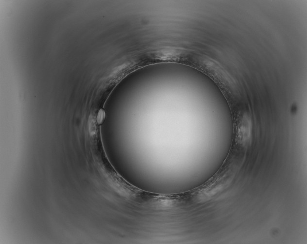 X0000097460620200802291238