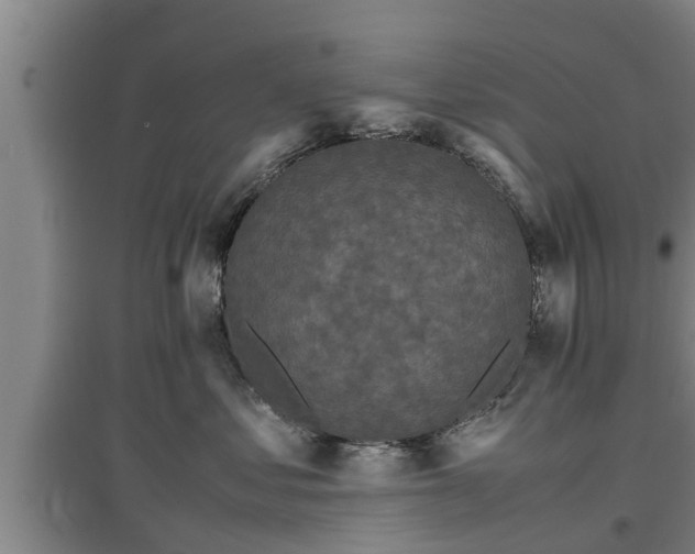 X0000097460621200802291238