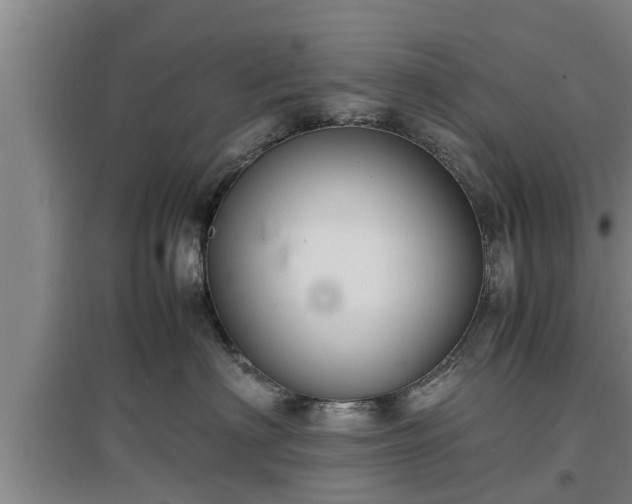 X0000097460622200802291238