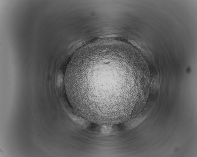 X0000097460623200802291238