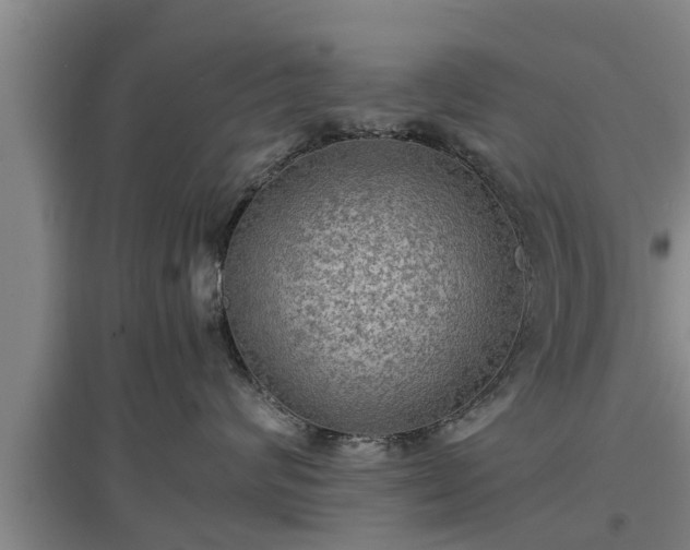 X0000097460624200802291238