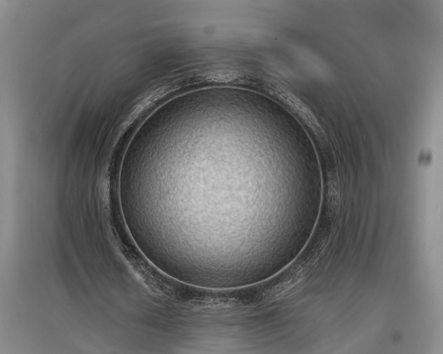 X0000097460626200802291237