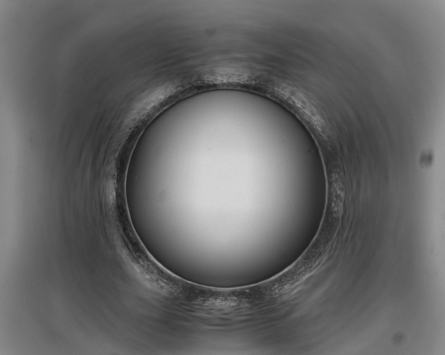 X0000097460631200802291237