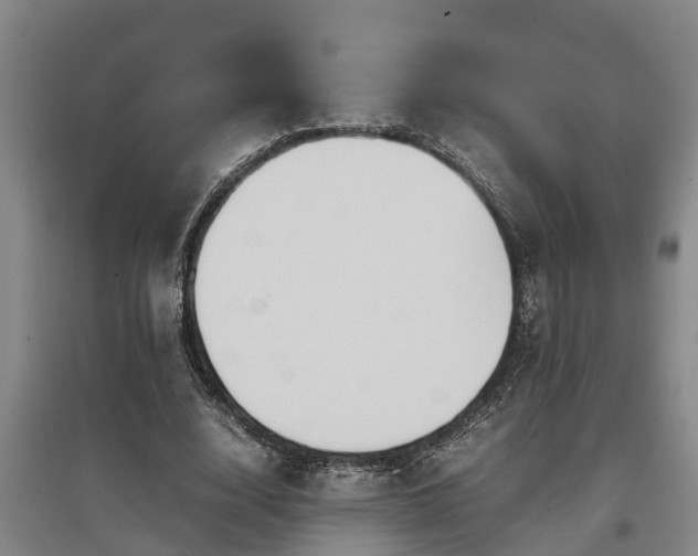 X0000097460632200802291237