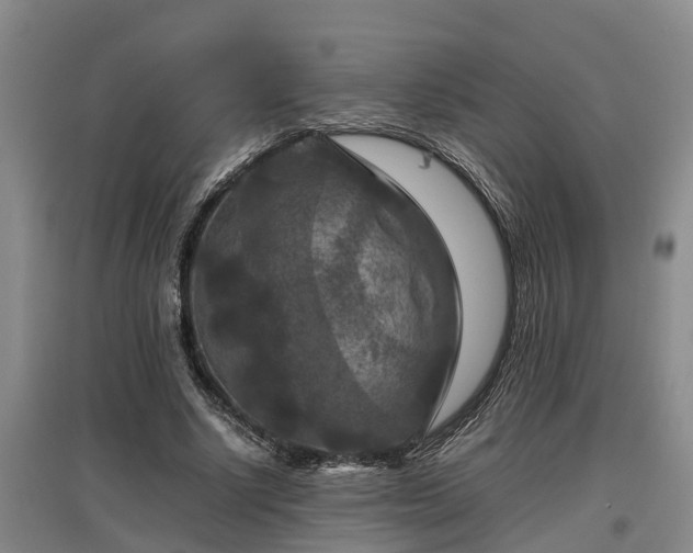 X0000097460634200802291237