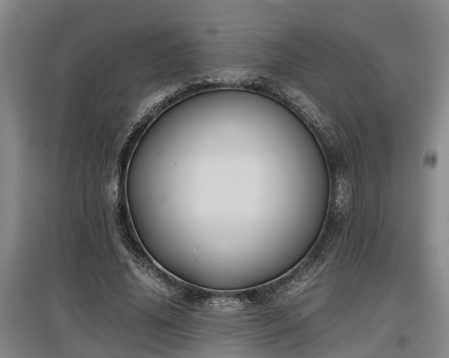 X0000097460636200802291237