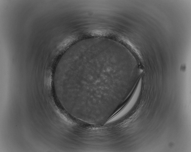 X0000097460637200802291237