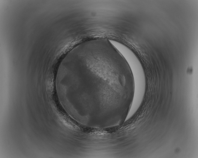 X0000097460642200802291237