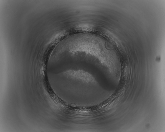 X0000097460643200802291237